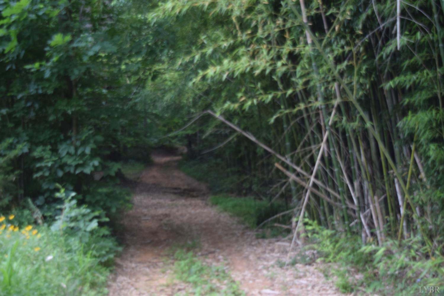 Tardy Mountain Road, Altavista, Virginia image 9