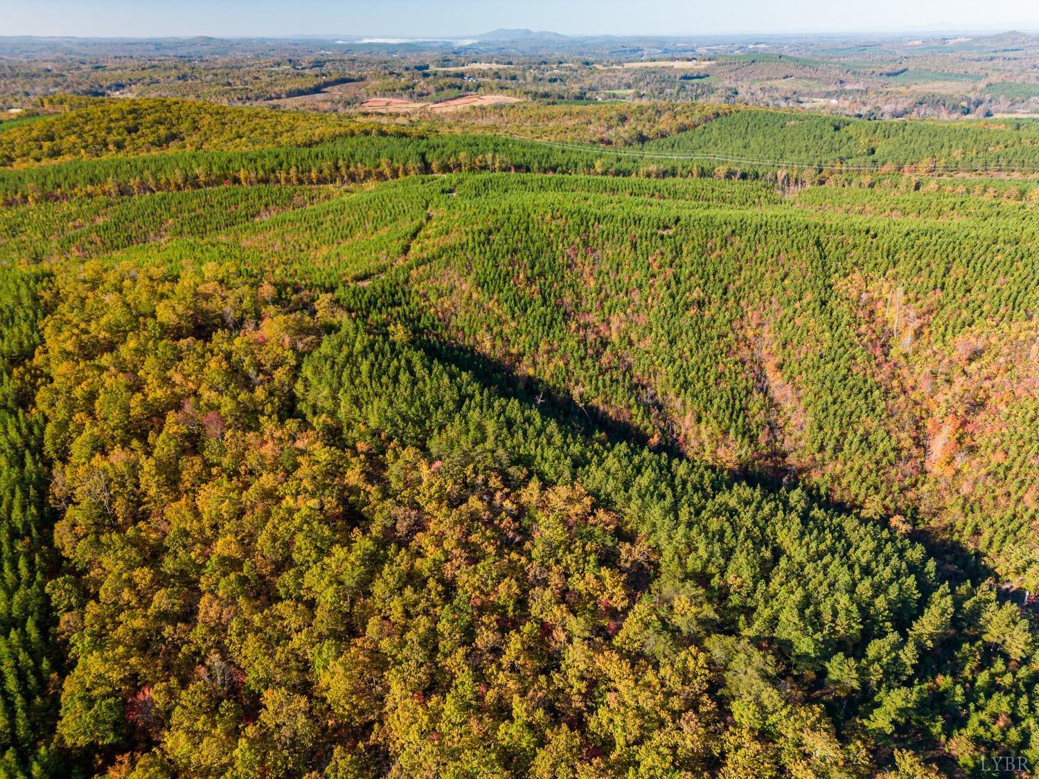 Tardy Mountain Road, Altavista, Virginia image 3