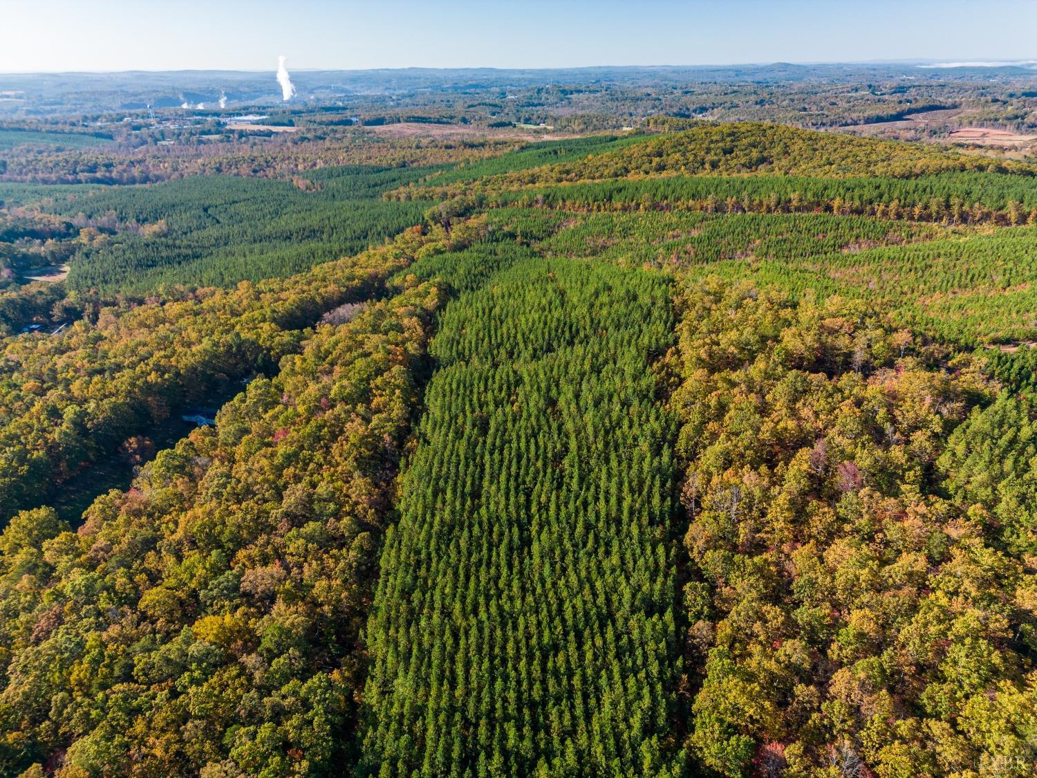 Tardy Mountain Road, Altavista, Virginia image 2