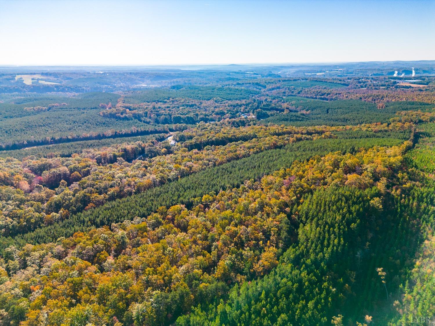 Tardy Mountain Road, Altavista, Virginia image 1