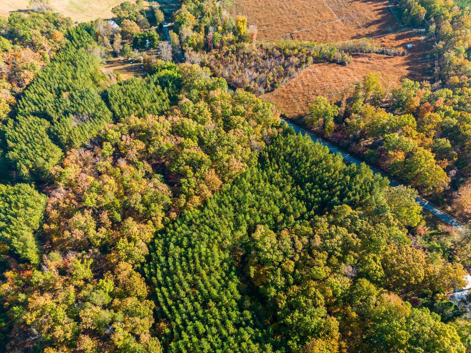 Tardy Mountain Road, Altavista, Virginia image 4