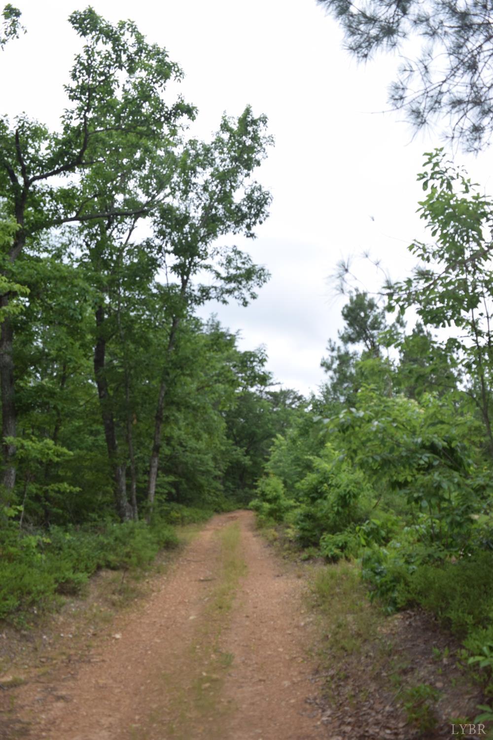 Tardy Mountain Road, Altavista, Virginia image 10