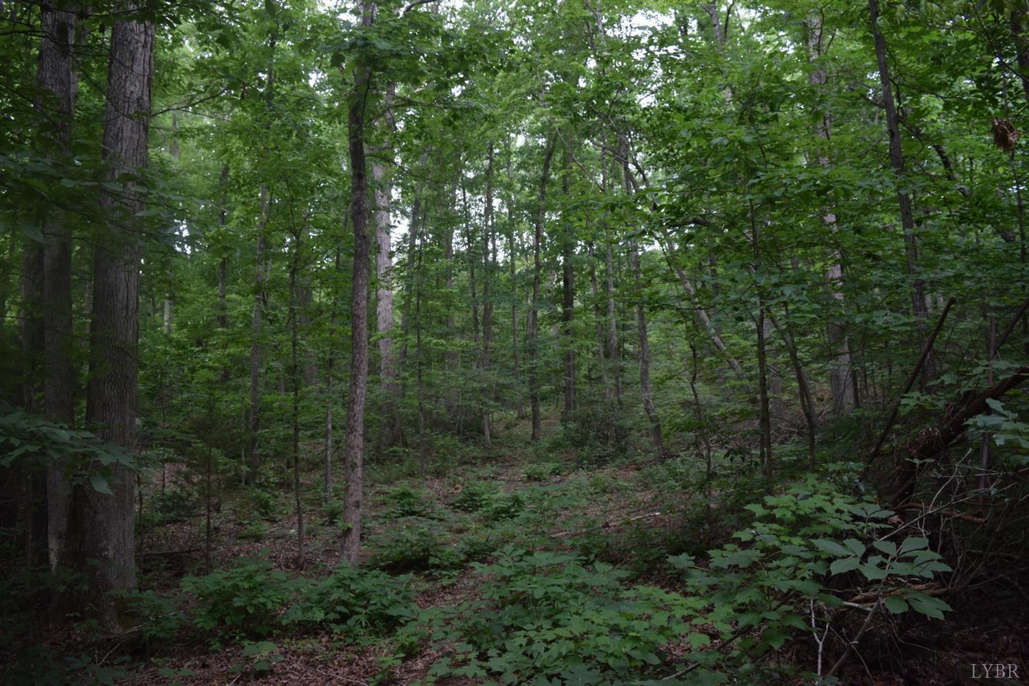 Tardy Mountain Road, Altavista, Virginia image 8