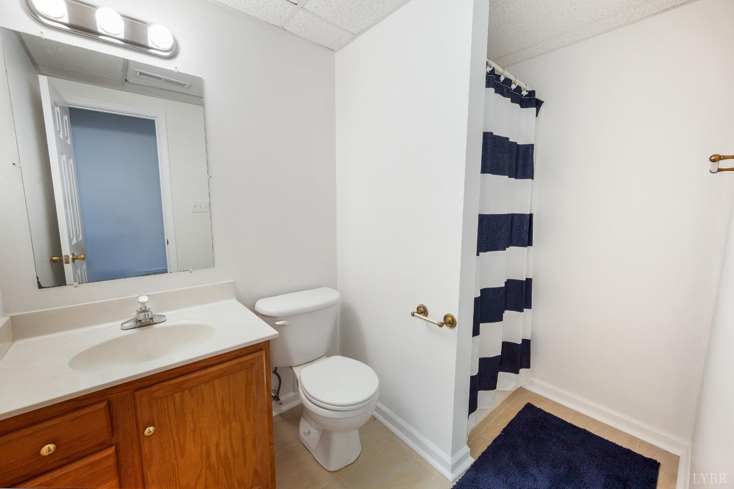 121 Laurel Lane, Lynchburg, Virginia image 42
