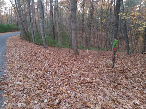 Tiny photo for 0 Pera Road, Naola, VA 24574 (MLS # 356080)