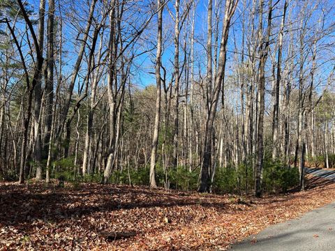 Tiny photo for 0 Pera Road, Naola, VA 24574 (MLS # 356080)