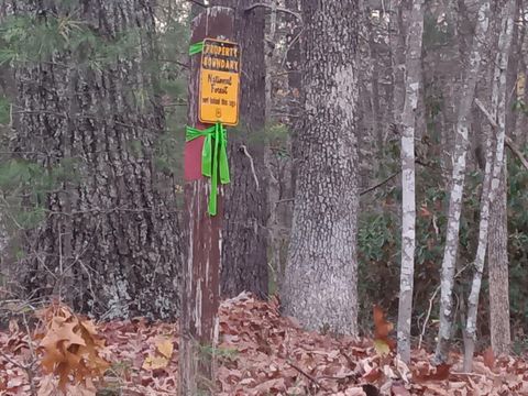 Tiny photo for 0 Pera Road, Naola, VA 24574 (MLS # 356080)