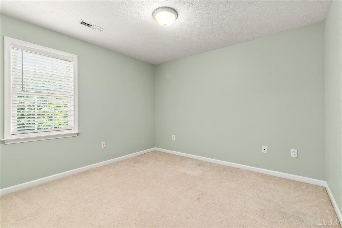 260 Russell Springs Drive, Lynchburg, Virginia image 22