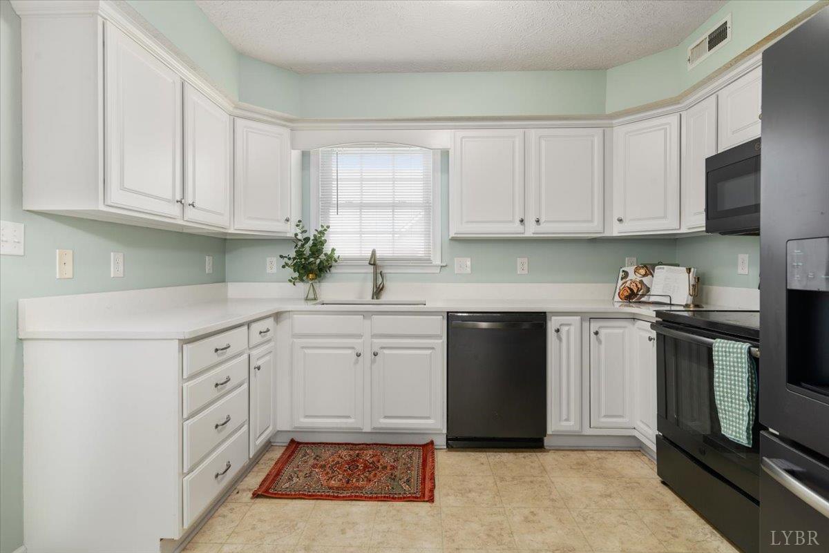 260 Russell Springs Drive, Lynchburg, Virginia image 10