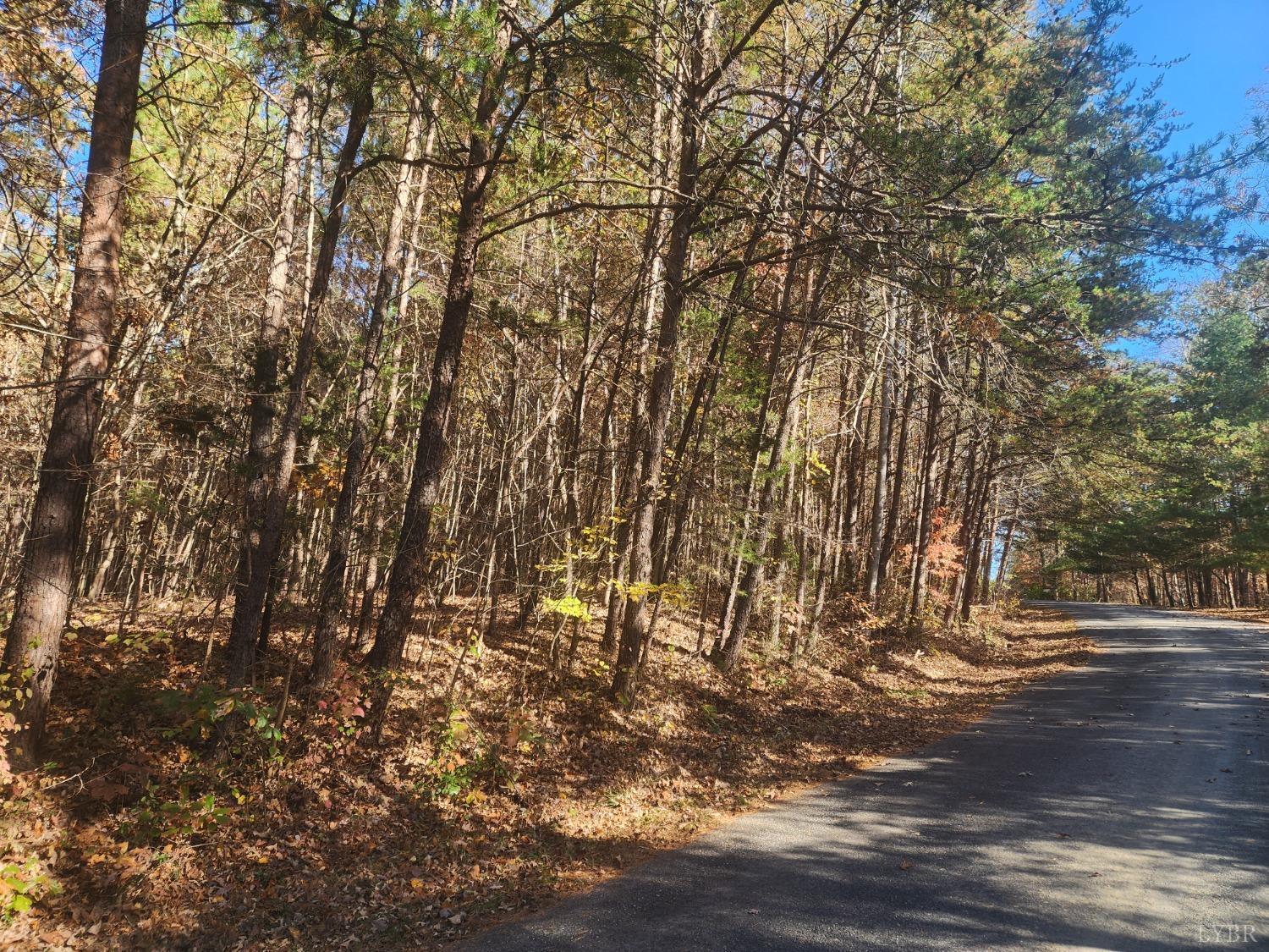 Hughes Road, Gladys, Virginia image 4