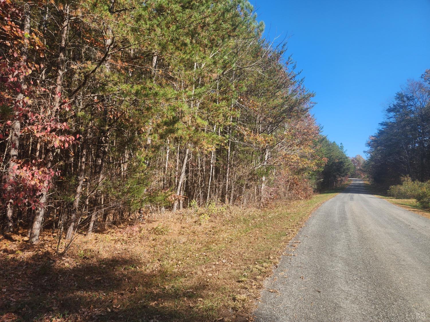 Hughes Road, Gladys, Virginia image 5