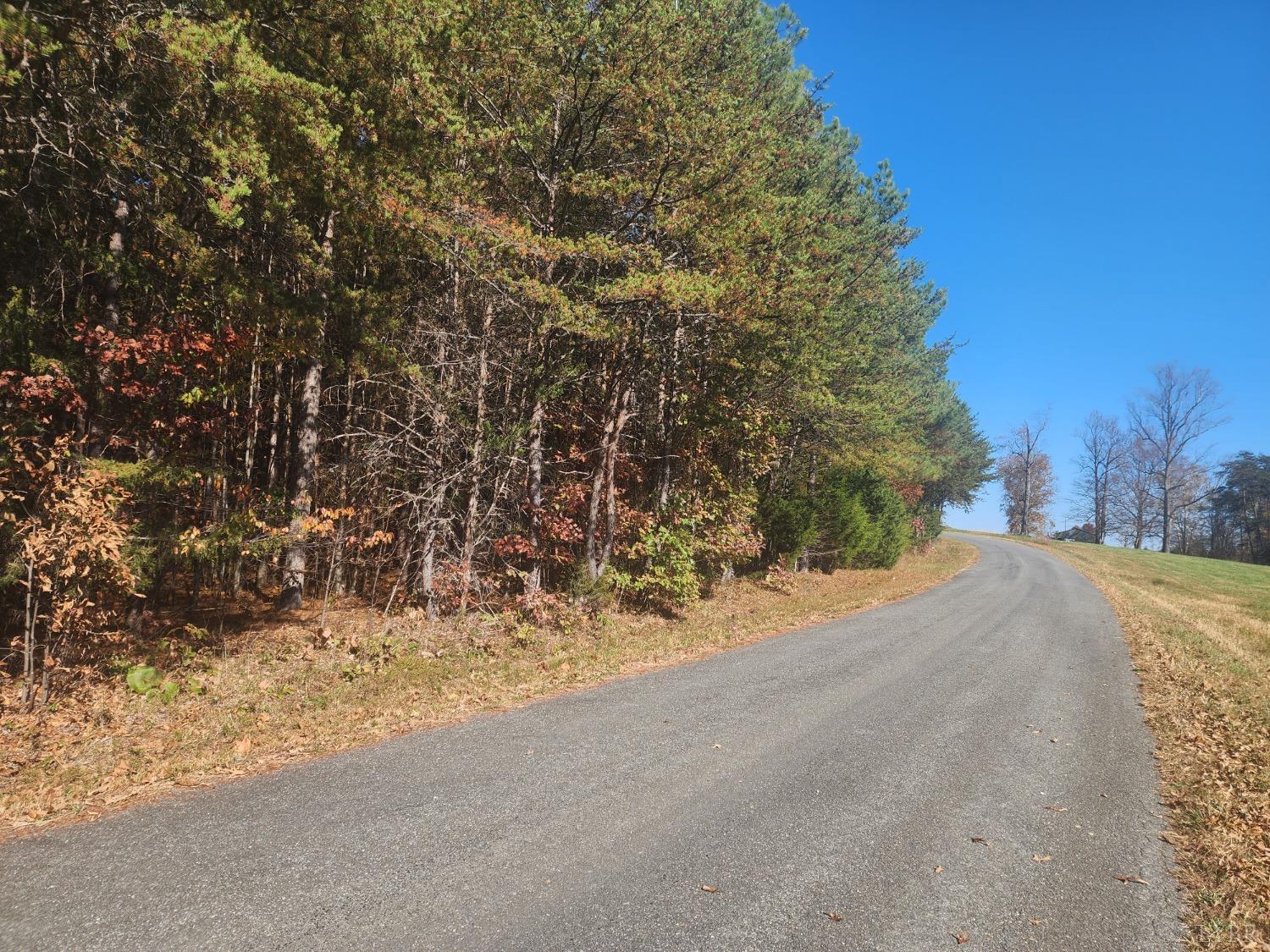 Hughes Road, Gladys, Virginia image 1