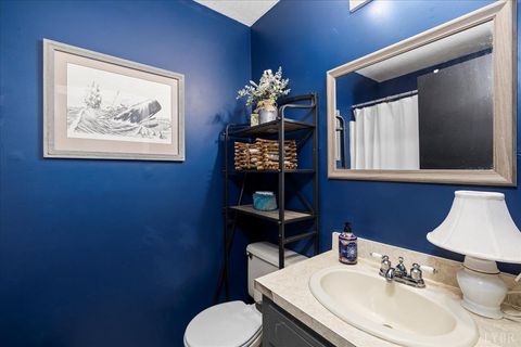 Tiny photo for 250 S Wood Duck Drive, Madison Heights, VA 24572 (MLS # 361776)