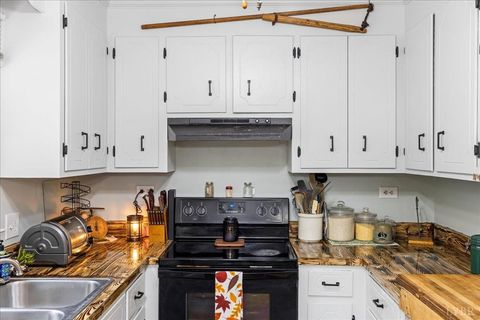 Tiny photo for 250 S Wood Duck Drive, Madison Heights, VA 24572 (MLS # 361776)