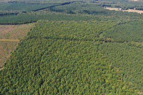 Tiny photo for 0 W James Anderson Highway, Gladstone, VA 24553 (MLS # 365525)