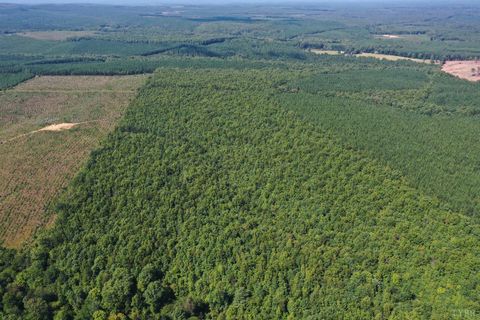 Tiny photo for 0 W James Anderson Highway, Gladstone, VA 24553 (MLS # 365525)