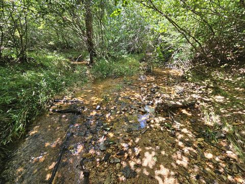 Tiny photo for 0 W James Anderson Highway, Gladstone, VA 24553 (MLS # 365525)