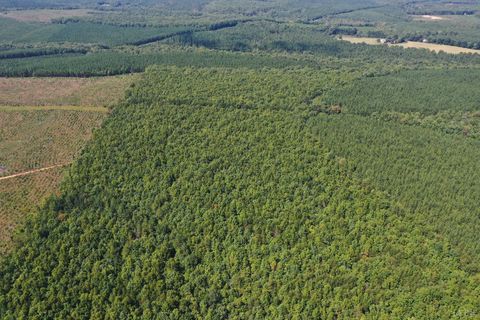 Tiny photo for 0 W James Anderson Highway, Gladstone, VA 24553 (MLS # 365525)