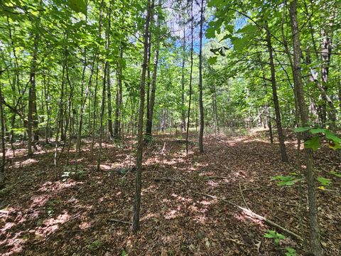 Tiny photo for 0 W James Anderson Highway, Gladstone, VA 24553 (MLS # 365525)