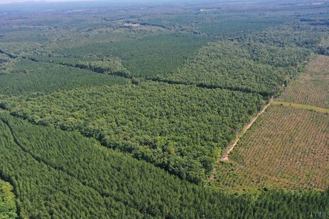 Tiny photo for 0 W James Anderson Highway, Gladstone, VA 24553 (MLS # 365525)