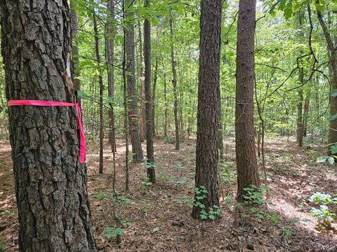 Tiny photo for 0 W James Anderson Highway, Gladstone, VA 24553 (MLS # 365525)