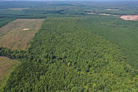 Tiny photo for 0 W James Anderson Highway, Gladstone, VA 24553 (MLS # 365525)