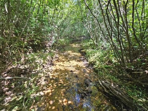 Tiny photo for 0 W James Anderson Highway, Gladstone, VA 24553 (MLS # 365525)