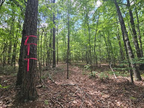 Tiny photo for 0 W James Anderson Highway, Gladstone, VA 24553 (MLS # 365525)