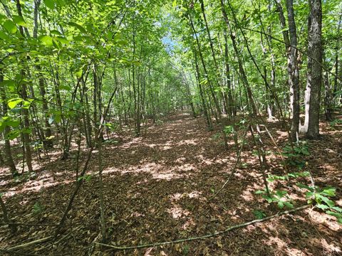 Tiny photo for 0 W James Anderson Highway, Gladstone, VA 24553 (MLS # 365525)