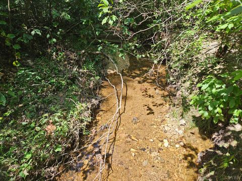 Tiny photo for 0 W James Anderson Highway, Gladstone, VA 24553 (MLS # 365525)