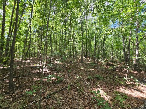 Tiny photo for 0 W James Anderson Highway, Gladstone, VA 24553 (MLS # 365525)