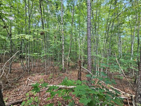 Tiny photo for 0 W James Anderson Highway, Gladstone, VA 24553 (MLS # 365525)