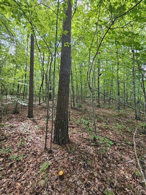 Tiny photo for 0 W James Anderson Highway, Gladstone, VA 24553 (MLS # 365525)