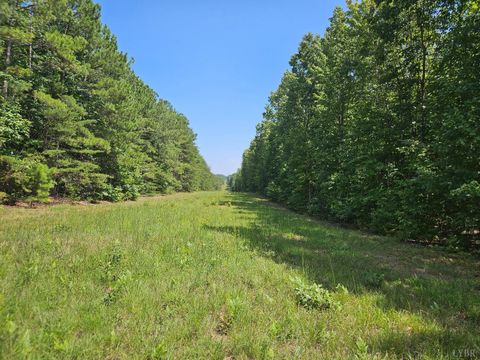 Tiny photo for 0 W James Anderson Highway, Gladstone, VA 24553 (MLS # 365525)