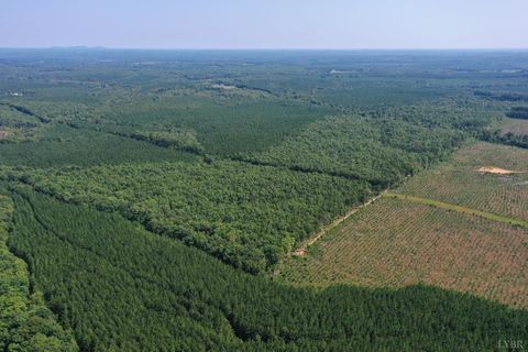 Tiny photo for 0 W James Anderson Highway, Gladstone, VA 24553 (MLS # 365525)