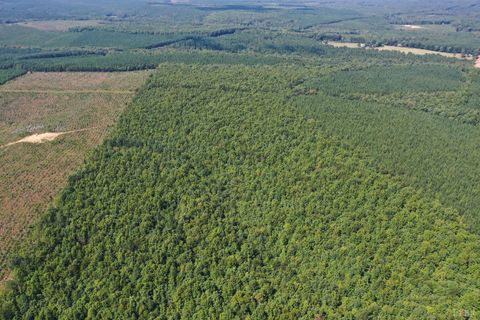 Tiny photo for 0 W James Anderson Highway, Gladstone, VA 24553 (MLS # 365525)