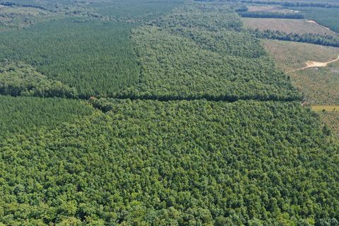 Tiny photo for 0 W James Anderson Highway, Gladstone, VA 24553 (MLS # 365525)