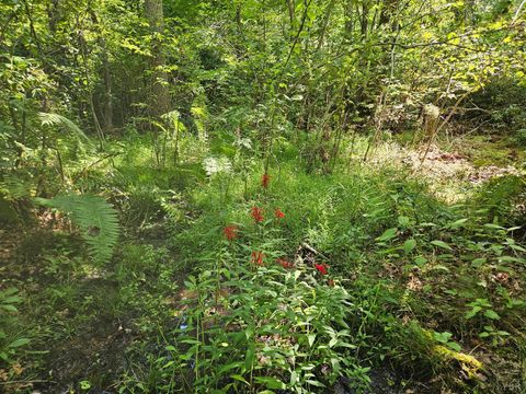 Tiny photo for 0 W James Anderson Highway, Gladstone, VA 24553 (MLS # 365525)