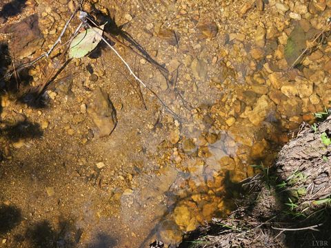 Tiny photo for 0 W James Anderson Highway, Gladstone, VA 24553 (MLS # 365525)