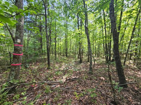 Tiny photo for 0 W James Anderson Highway, Gladstone, VA 24553 (MLS # 365525)