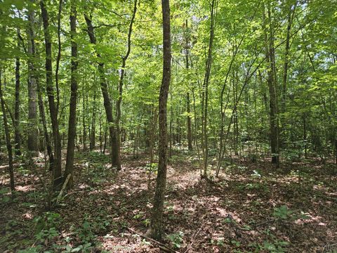 Tiny photo for 0 W James Anderson Highway, Gladstone, VA 24553 (MLS # 365525)