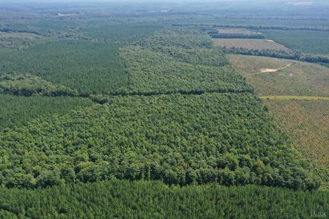 Tiny photo for 0 W James Anderson Highway, Gladstone, VA 24553 (MLS # 365525)