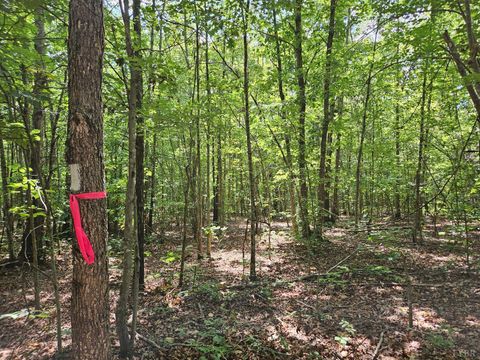 Tiny photo for 0 W James Anderson Highway, Gladstone, VA 24553 (MLS # 365525)