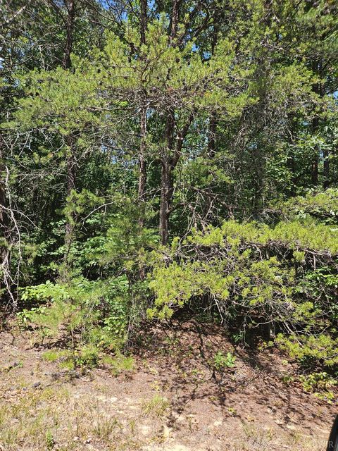 Tiny photo for 0 W James Anderson Highway, Gladstone, VA 24553 (MLS # 365525)