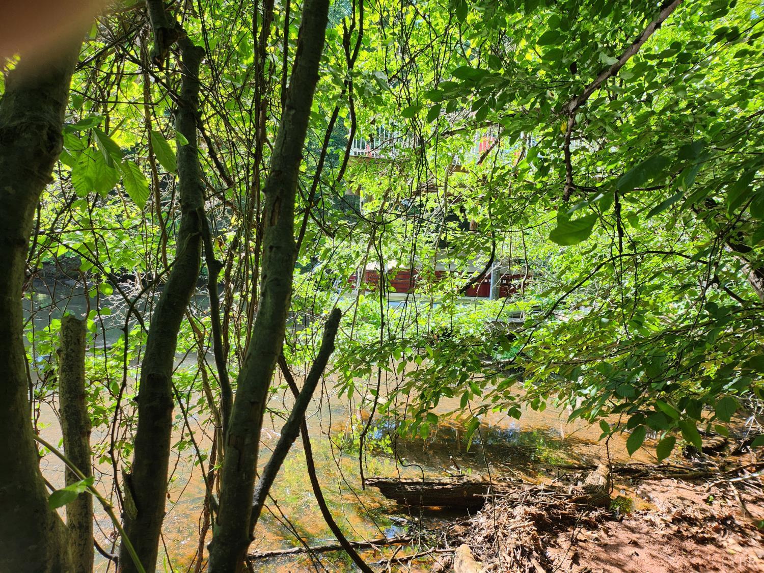 Forest Shores Road, Wirtz, Virginia image 7