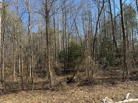 Tiny photo for 0 Sturgeon Road, Dolphin, VA 23843 (MLS # 365771)
