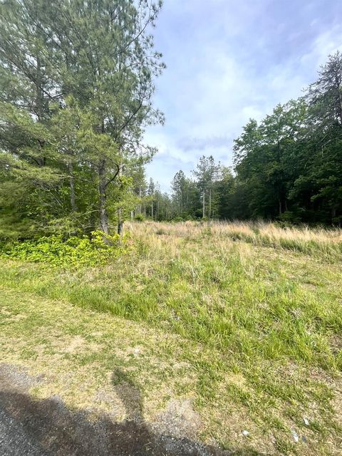 Tiny photo for 0 Three Creeks Road, Gladys, VA 24554 (MLS # 366460)