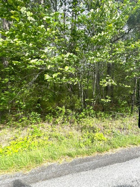 Tiny photo for 0 Three Creeks Road, Gladys, VA 24554 (MLS # 366460)