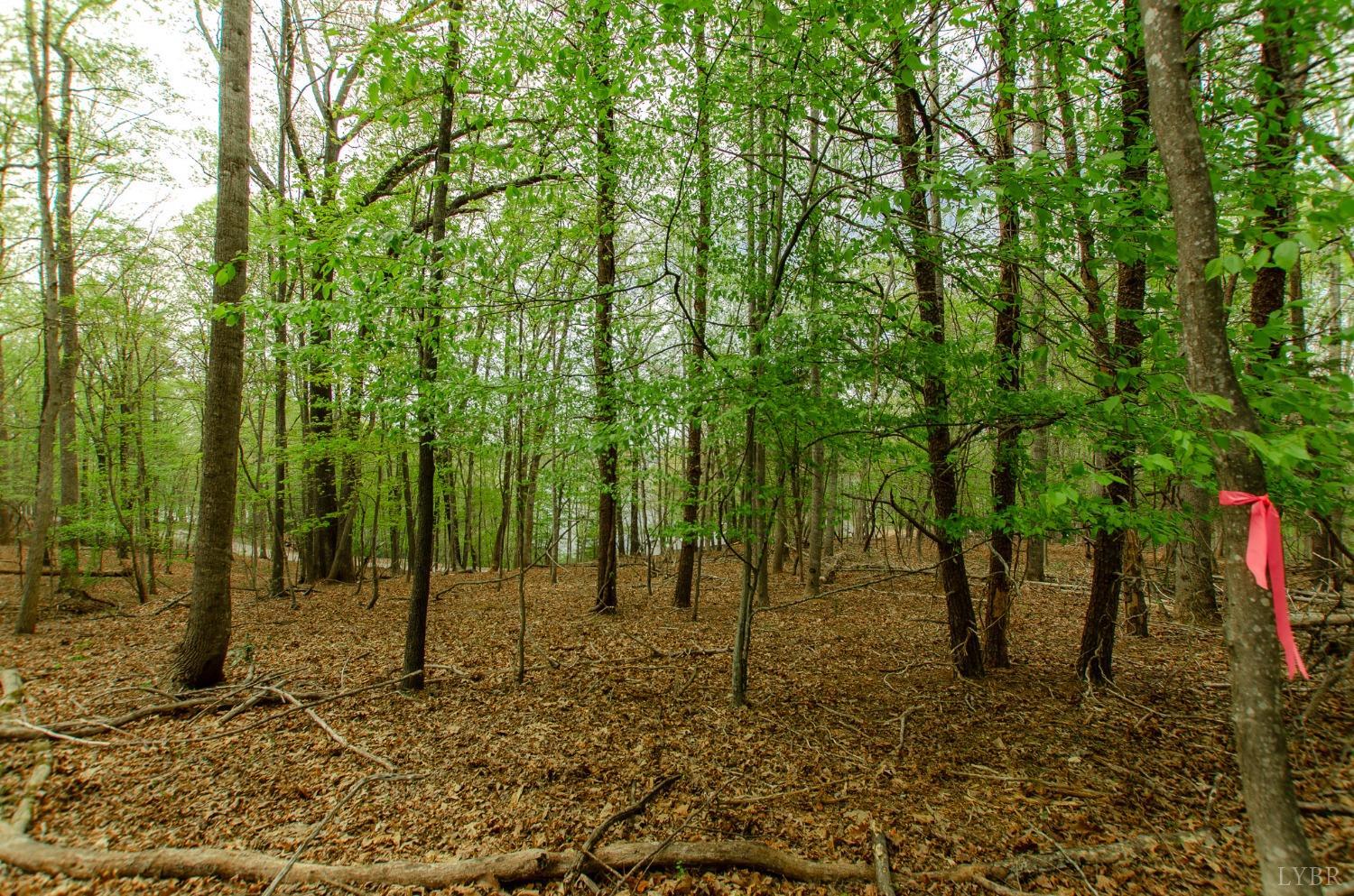 136 High Point Rd, Bedford, Virginia image 5