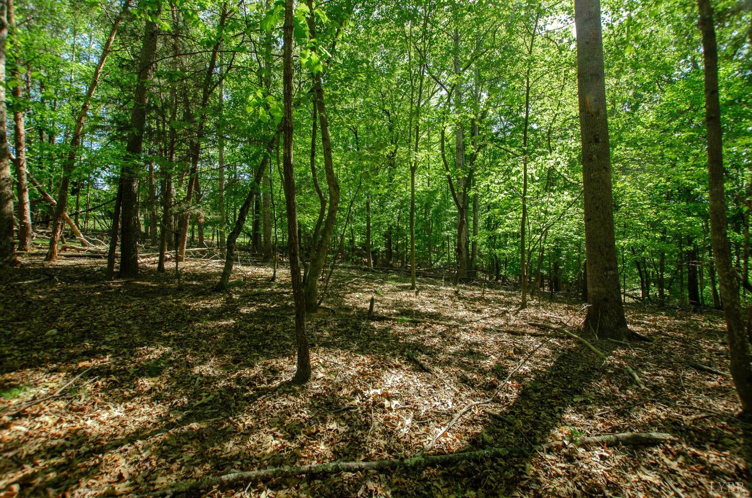 High Point Rd, Moneta, Virginia image 6